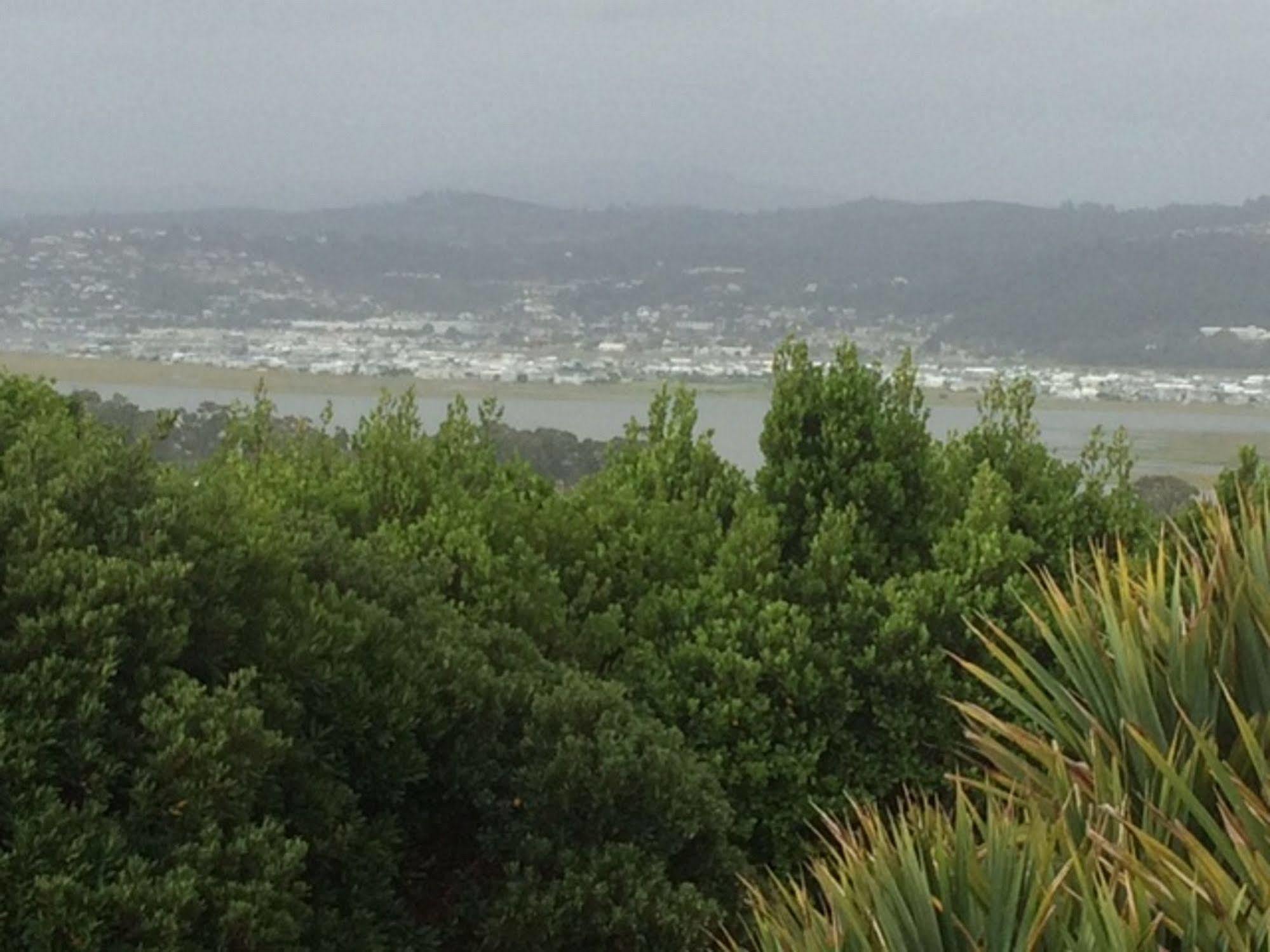 Headlands House Guest Lodge Knysna Extérieur photo